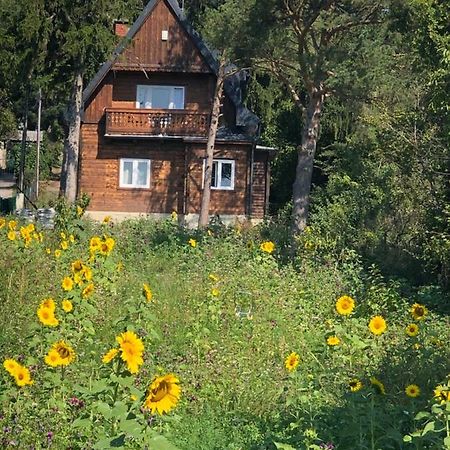 Vacationhome In The Vineyards Vienna Esterno foto