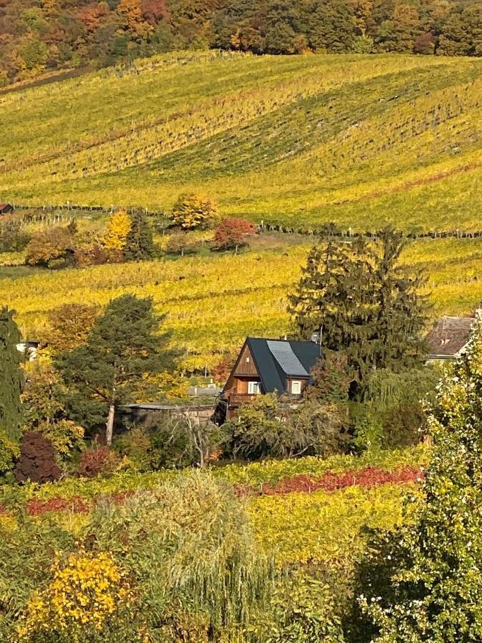 Vacationhome In The Vineyards Vienna Esterno foto
