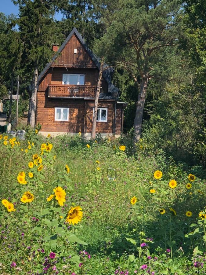 Vacationhome In The Vineyards Vienna Esterno foto