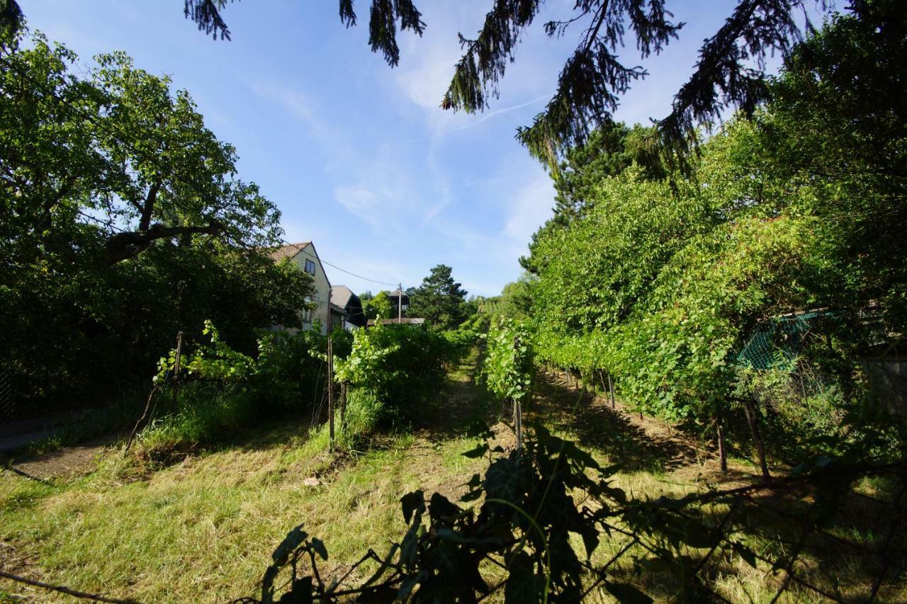 Vacationhome In The Vineyards Vienna Esterno foto